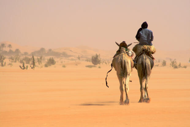 Mauritania - image 1