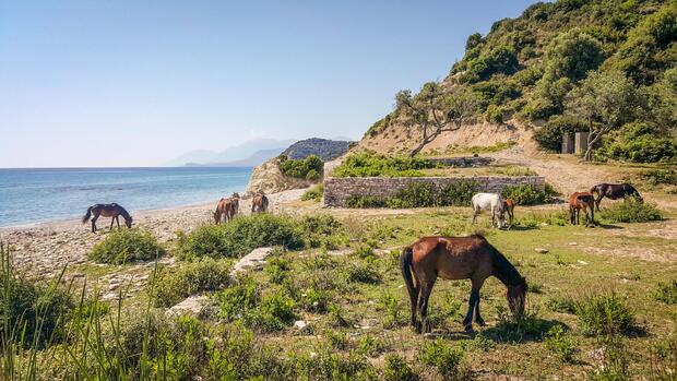 Winter riding from Gibraltar to Black Sea - image 2